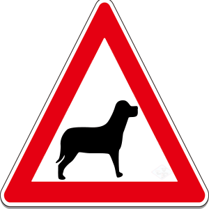 Domestic Animals