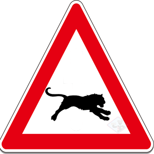 Wild Animals